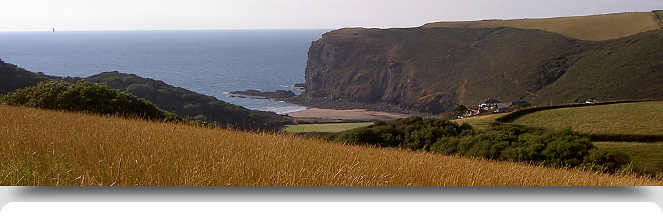 View of Crackington