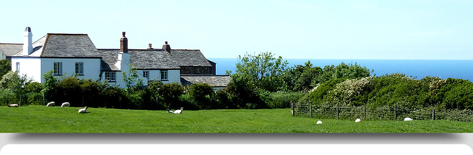 Lower Tresmorn Farm
